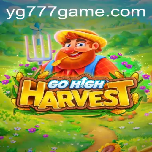 Discovering GoHighHarvest: An Adventure with YG777